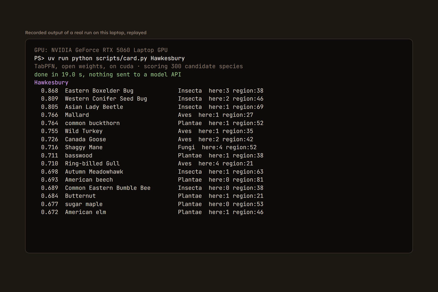 A terminal recording of the ranking script on an NVIDIA RTX 5060 laptop GPU, reporting TabPFN scoring 300 candidate species and finishing in 19.0 seconds with nothing sent to a model API, followed by Hawkesbury's ranked list.