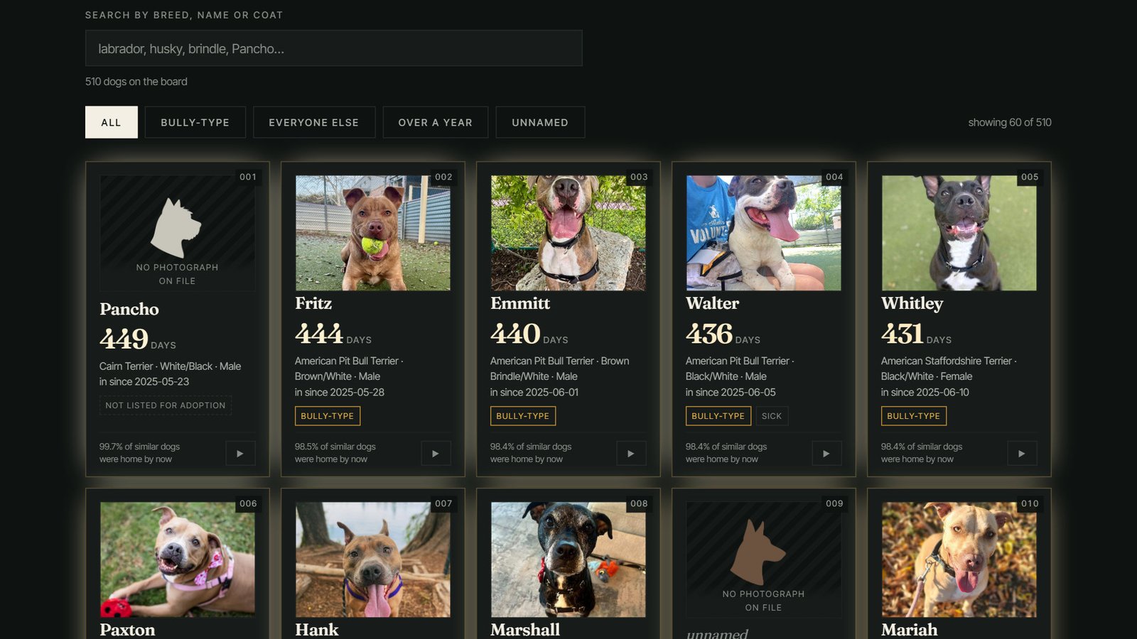 La feuille de contact : une grille de cartes de chiens montrant les vrais visages tirés des propres fiches Adopets d'Austin. Barre de recherche pour race/nom/pelage, filtres ALL / BULLY-TYPE / EVERYONE ELSE / OVER A YEAR / UNNAMED, « 510 dogs on the board · showing 60 of 510 ». Chaque carte porte le numéro de rang du chien, la photo (ou une silhouette placeholder si aucune), le nom (Pancho, Fritz, Emmitt, Walter, Whitley, Paxton, Hank, Marshall, Mariah), un grand nombre de jours d'attente (449, 444, 440, 436, 431...), race et pelage, date d'entrée, et étiquette BULLY-TYPE le cas échéant, plus une ligne de pourcentage « X% of similar dogs were home by now ».