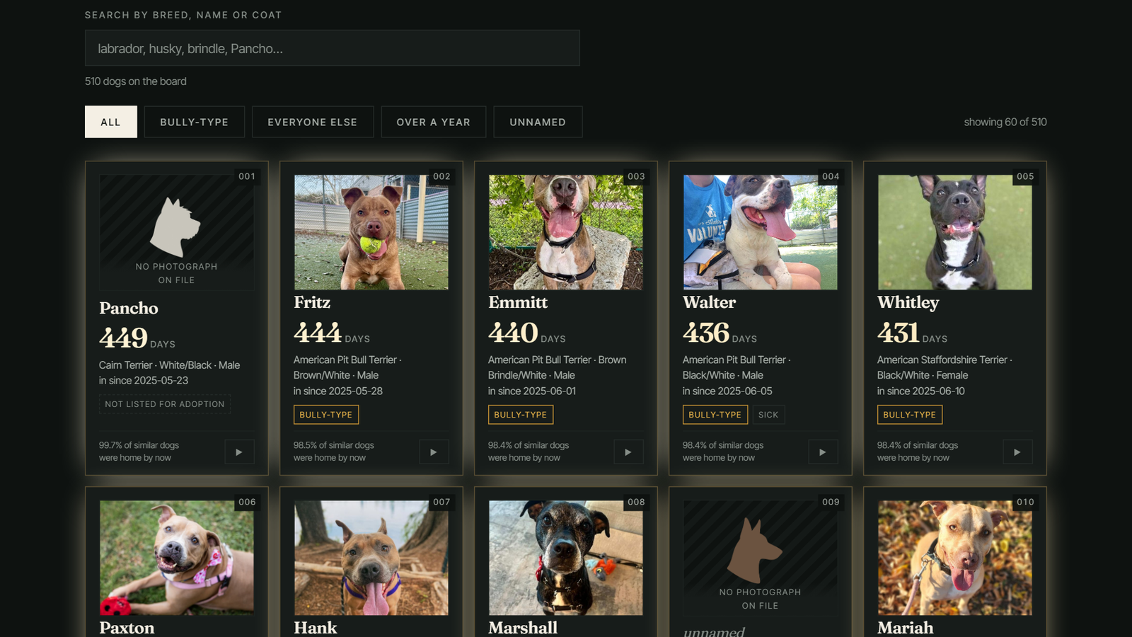 The contact sheet: a grid of dog cards showing real faces pulled from Austin's own Adopets listings. Search bar for breed/name/coat, filters ALL / BULLY-TYPE / EVERYONE ELSE / OVER A YEAR / UNNAMED, '510 dogs on the board · showing 60 of 510'. Each card carries the dog's rank number, photo (or a silhouette placeholder if none), name (Pancho, Fritz, Emmitt, Walter, Whitley, Paxton, Hank, Marshall, Mariah), a giant number of days waiting (449, 444, 440, 436, 431...), breed and coat, intake date, and BULLY-TYPE tag where applicable, plus a percentage line 'X% of similar dogs were home by now'.